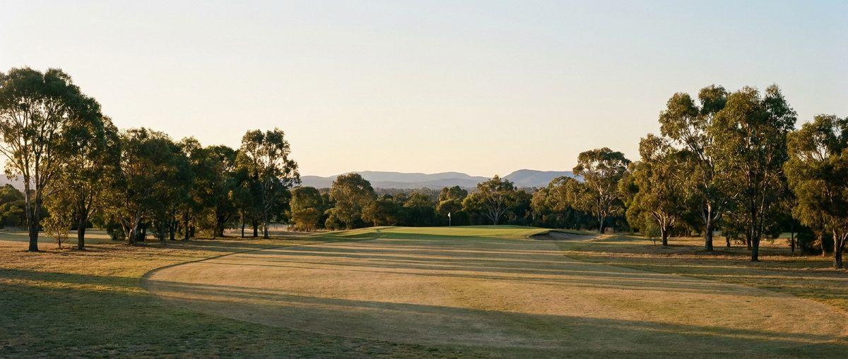 US golf course with mature trees — illustrative of the case study setting