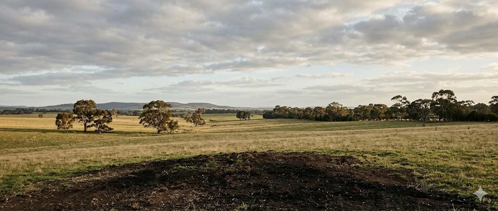 Wide pasture with carbon-building soil under a cloudy sky