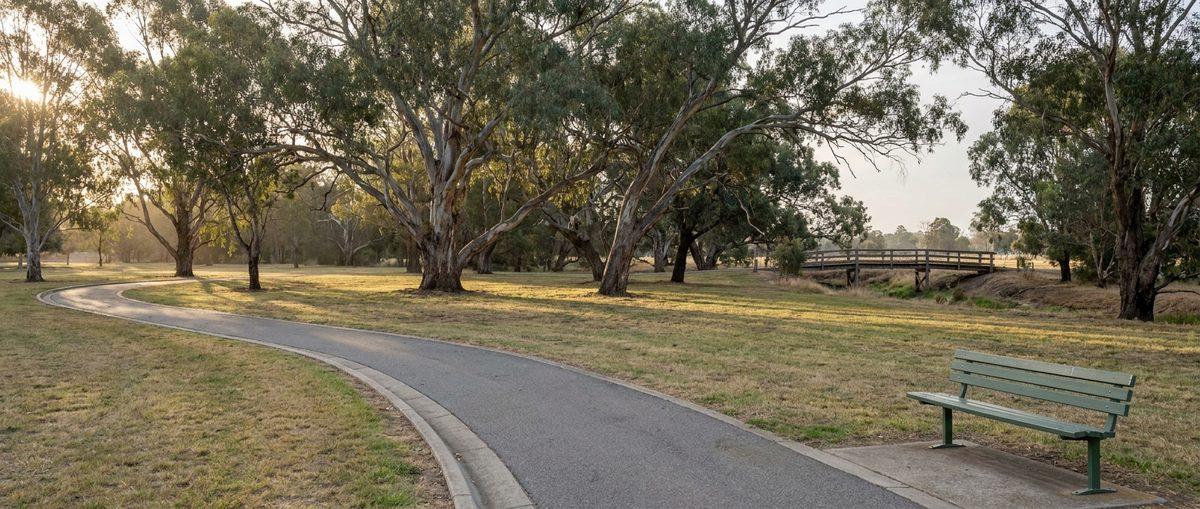 Public parkland with mature eucalypts